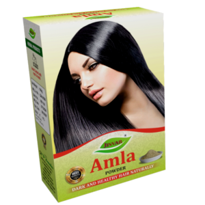 AMLA POWDER (PKT)